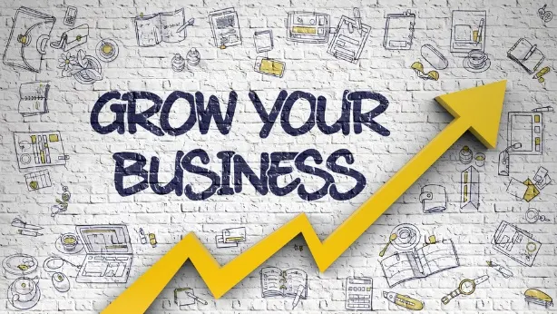 Grow Your Business - Ray&Go